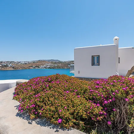 ヴィラ Carpe Diem Mykonos ,heated Pool!